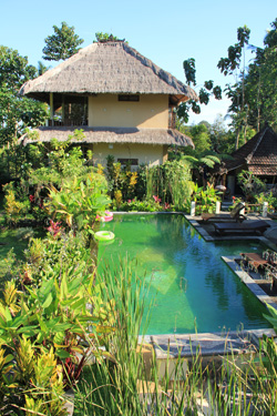 Villa Batu and Spring Water Swimming Pool
